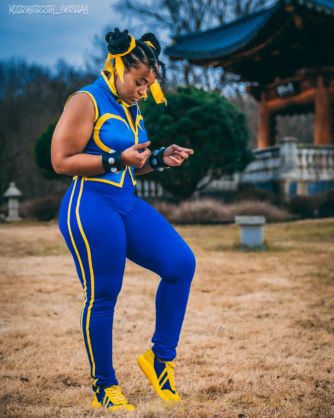 Chun Li from Street Fighter 